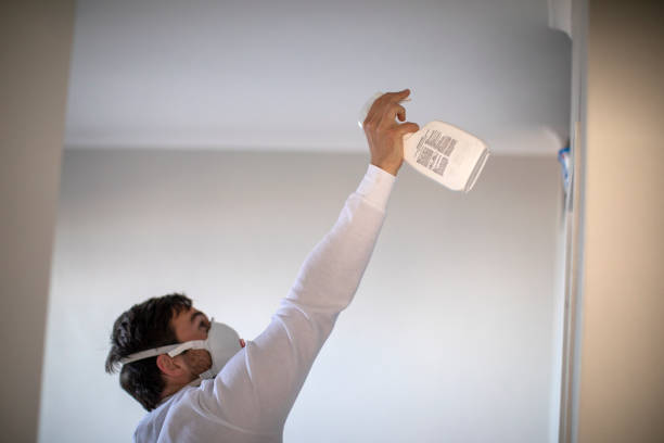 Best Mold Cleaning Services  in Tuckahoe, VA